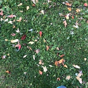 Meet your Posher, Callia